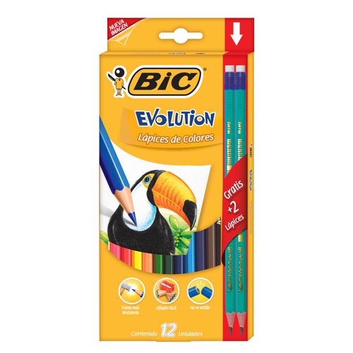 Lapices De Color Bic 12 Unidades