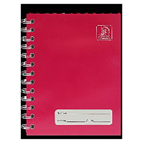 Cuaderno Conquistador -100 Hojas