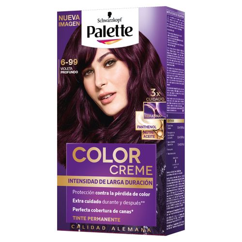 Tinte Palette Cc 699 Violeta Pr 50 g