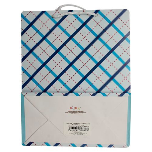 Bolsa Grande Generica