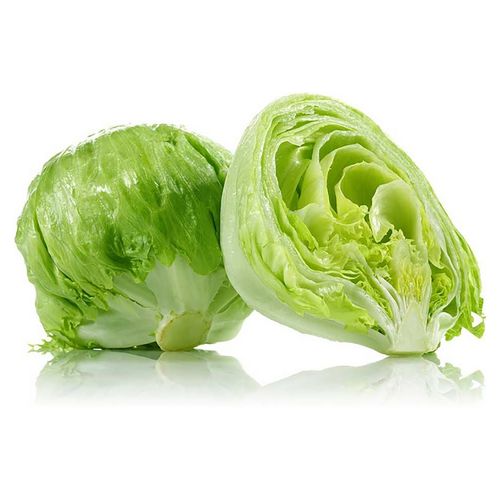 Lechuga Hortifruti Arrepollada - Precio Indicado Por Libra (454 g)