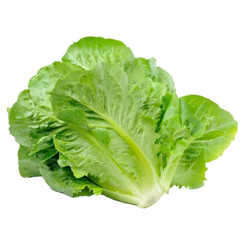 Lechuga Romana Unidad