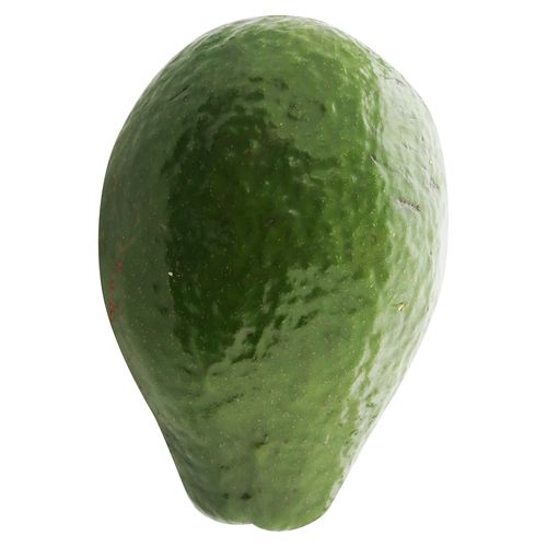 Aguacate Criollo Unidad