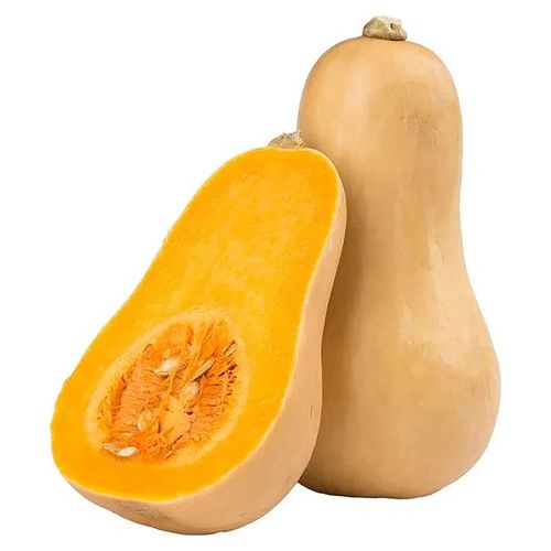 Ayote Butternut - 6 a 8 libras Aproximadamente, precio Indicado Por Libra (454 g)