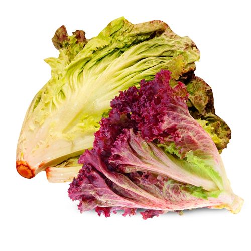 Escarola Morada - 1 Unidad