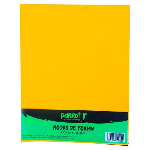 Hojas Foamy 6 Unidades