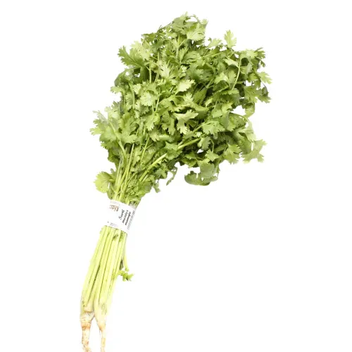 Surti Montes Manojo - 1 Unidad