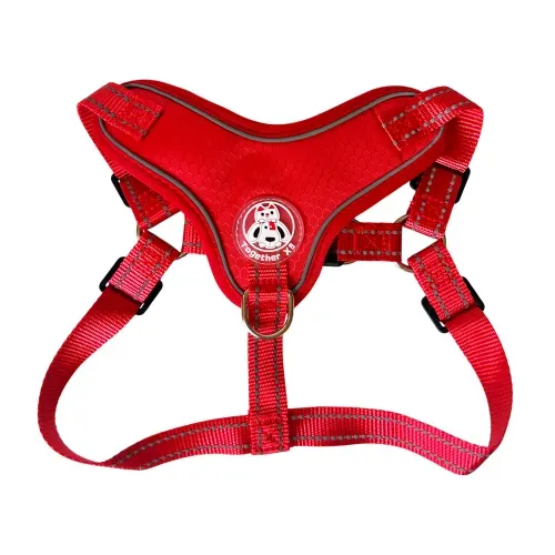 Arnes Pin Perr Chucho Acces Mascota 1ea
