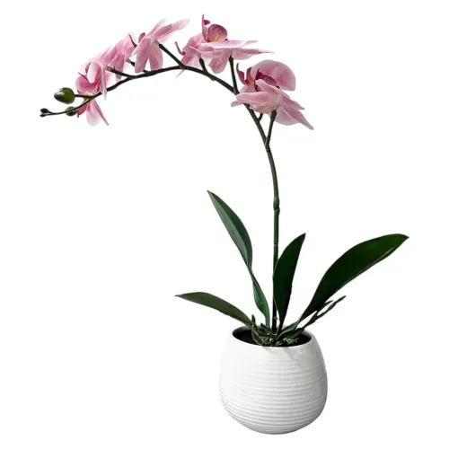Ms Orquidea Rosada 40cm