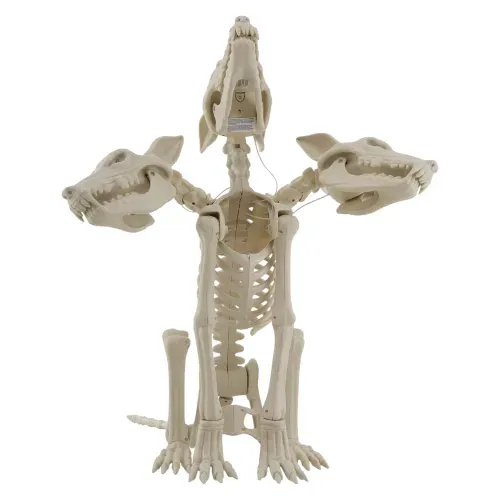 Lobo Way To Celebrate de 3 cabezas animado e iluminado Halloween - 76 cm