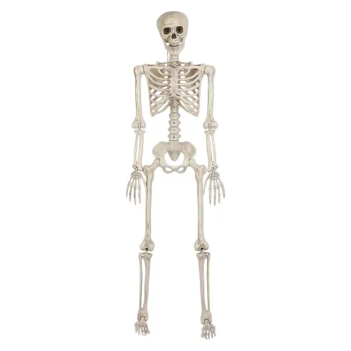 Esqueleto Way To Celebrate decorativo Halloween - 152 cm
