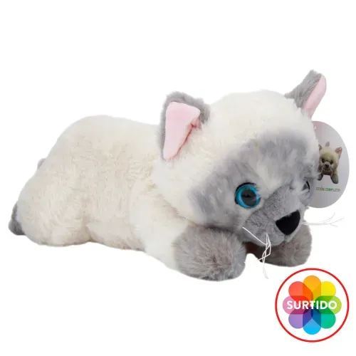 Gatitos Sentados